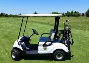 You can choose between four types of cells for your golf carts